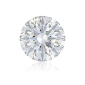 Piedra preciosa con Diamante VVS2 (H)