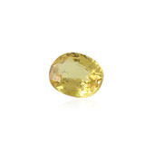 Piedra preciosa con Zafiro Ceylon amarillo 0,483 ct