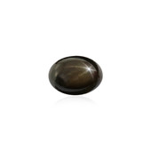 Piedra preciosa con Zafiro estrella negra 1,305 ct