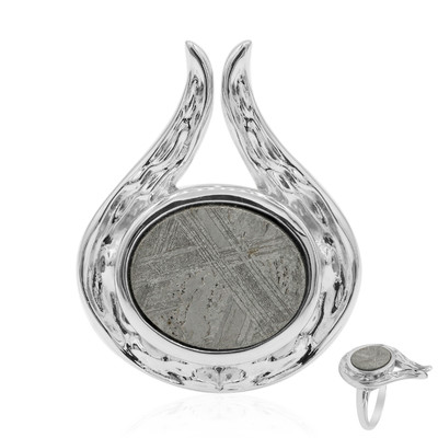 Anillo en plata con Meteorito metálico