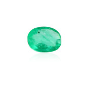 Piedra preciosa con Esmeralda de Zambia 0,525 ct
