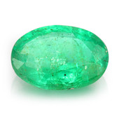 Piedra preciosa con Esmeralda de Zambia 1,26 ct