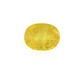 Piedra preciosa con Zafiro amarillo 1,749 ct