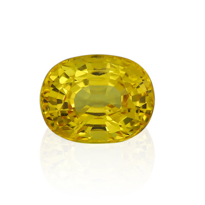 Piedra preciosa con Zafiro Ceylon amarillo