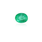 Piedra preciosa con Esmeralda de Zambia 0,284 ct