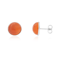 Pendientes en plata con Cornalina (CUSTODANA)