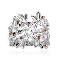 Anillo en plata con Granate de Mozambique