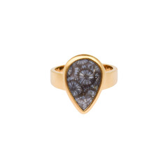 Anillo en plata con Piedra petoskey