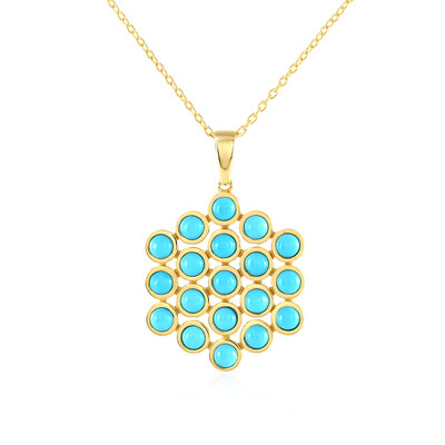Collar en plata con Turquesa bella durmiente
