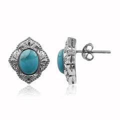 Pendientes en plata con Turquesa