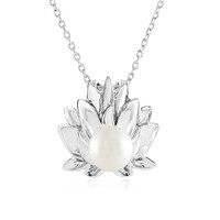Collar en plata con Perla blanca Freshwater (de Melo)