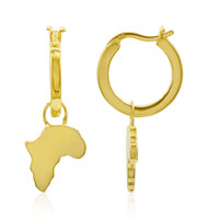 Pendientes en plata