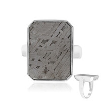 Anillo en plata con Meteorito Aletai