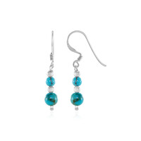 Pendientes en plata con Turquesa