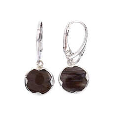 Pendientes en plata con Madera de palma petrificada
