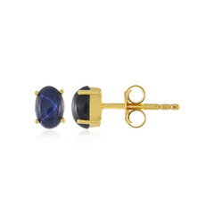 Pendientes en plata con Zafiro estrella azul