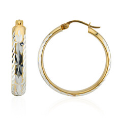 Pendientes en plata