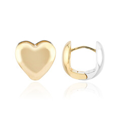Pendientes en plata