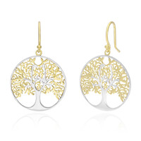 Pendientes en plata