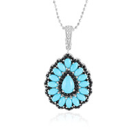 Collar en plata con Turquesa bella durmiente (Dallas Prince Designs)