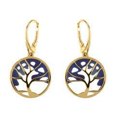 Pendientes en plata