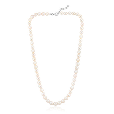 Collar en plata con Perla blanca Freshwater (TPC)
