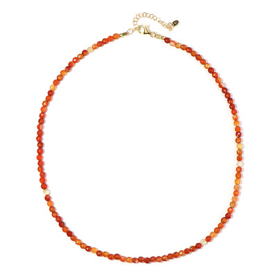 Collar en plata con Cornalina