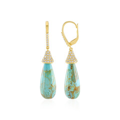 Pendientes en plata con Turquesa