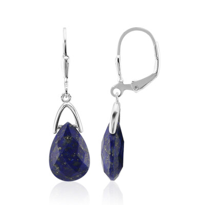 Pendientes en plata con Lapislázuli