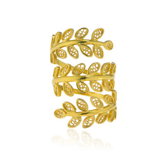 Anillo en plata (Joias do Paraíso)