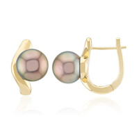 Pendientes en oro con Perla cultivada de Tahití (Michelle Albala)
