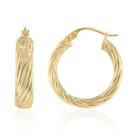 Pendientes en plata