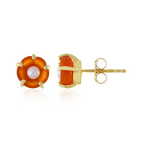 Pendientes en plata con Cornalina