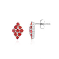 Pendientes en plata con Rubí de Tanzania