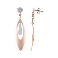 Pendientes en plata