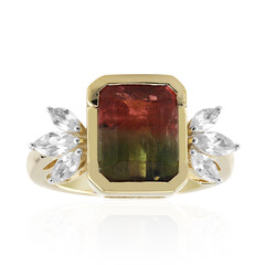 Anillo en oro con Turmalina bicolor de California (Remy Rotenier)
