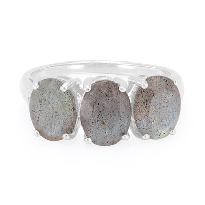 Anillo en plata con Labradorita