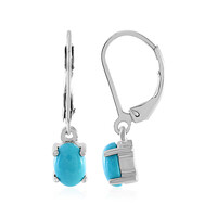 Pendientes en plata con Turquesa de Arizona