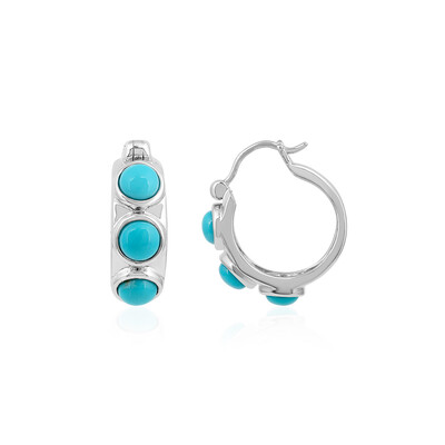Pendientes en plata con Turquesa bella durmiente