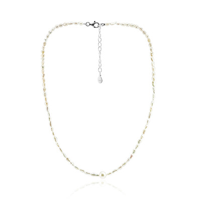 Collar en plata con Perla de Akoya (TPC)