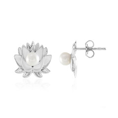 Pendientes en plata con Perla blanca Freshwater (de Melo)