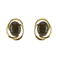 Pendientes en plata con Madera de palma petrificada