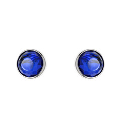 Pendientes en plata con Ámbar colombiano azul