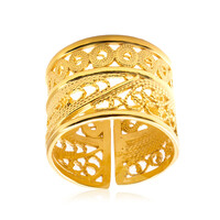Anillo en plata (Joias do Paraíso)