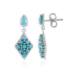 Pendientes en plata con Turquesa bella durmiente