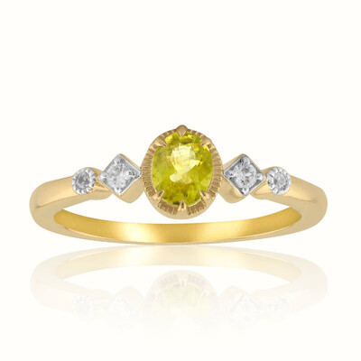 Anillo en oro con Pallavine Kansas