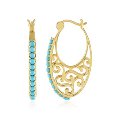 Pendientes en plata con Turquesa bella durmiente