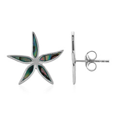 Pendientes en plata con Concha de Abalone