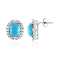 Pendientes en plata con Turquesa de Arizona