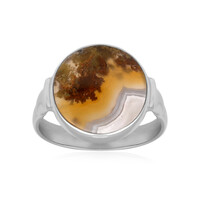 Anillo en plata con Ágata de musgo (Bali Barong)